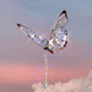 Meet your Posher, Ashlynn